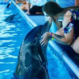 Meet your Posher, Breanna